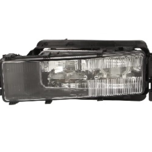 Fog lamp R (H1) MAN F 2000 01.94-